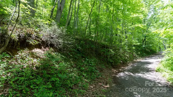 Waynesville, NC 28785,000 Roaring Creek LN