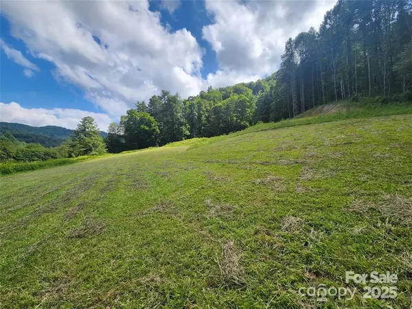 Hot Springs, NC 28743,5570 Meadow Fork RD