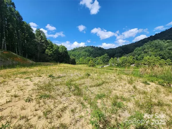 Hot Springs, NC 28743,5570 Meadow Fork RD