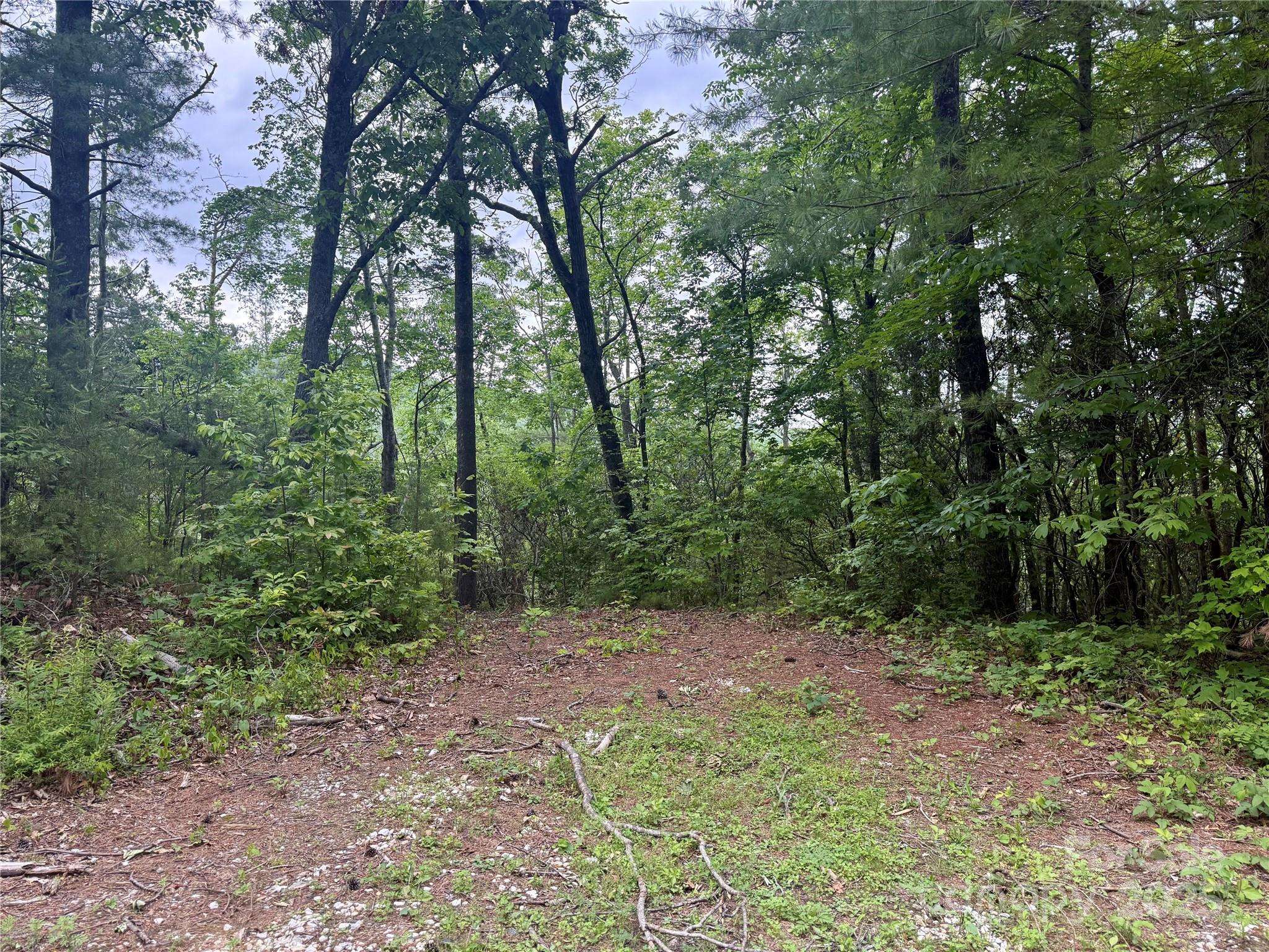 Spruce Pine, NC 28777,000 Wipprecht DR