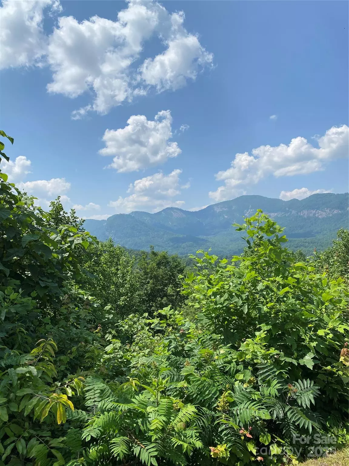 Lake Lure, NC 28746,Lot 13 Highlands DR