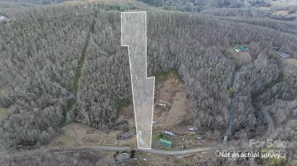 Banner Elk, NC 28604,TBD Pigeon Roost RD