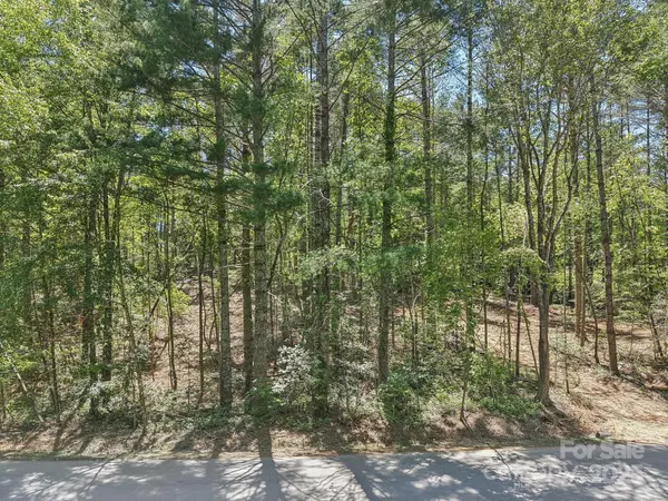 Fletcher, NC 28732,000 Ravenwood DR #6