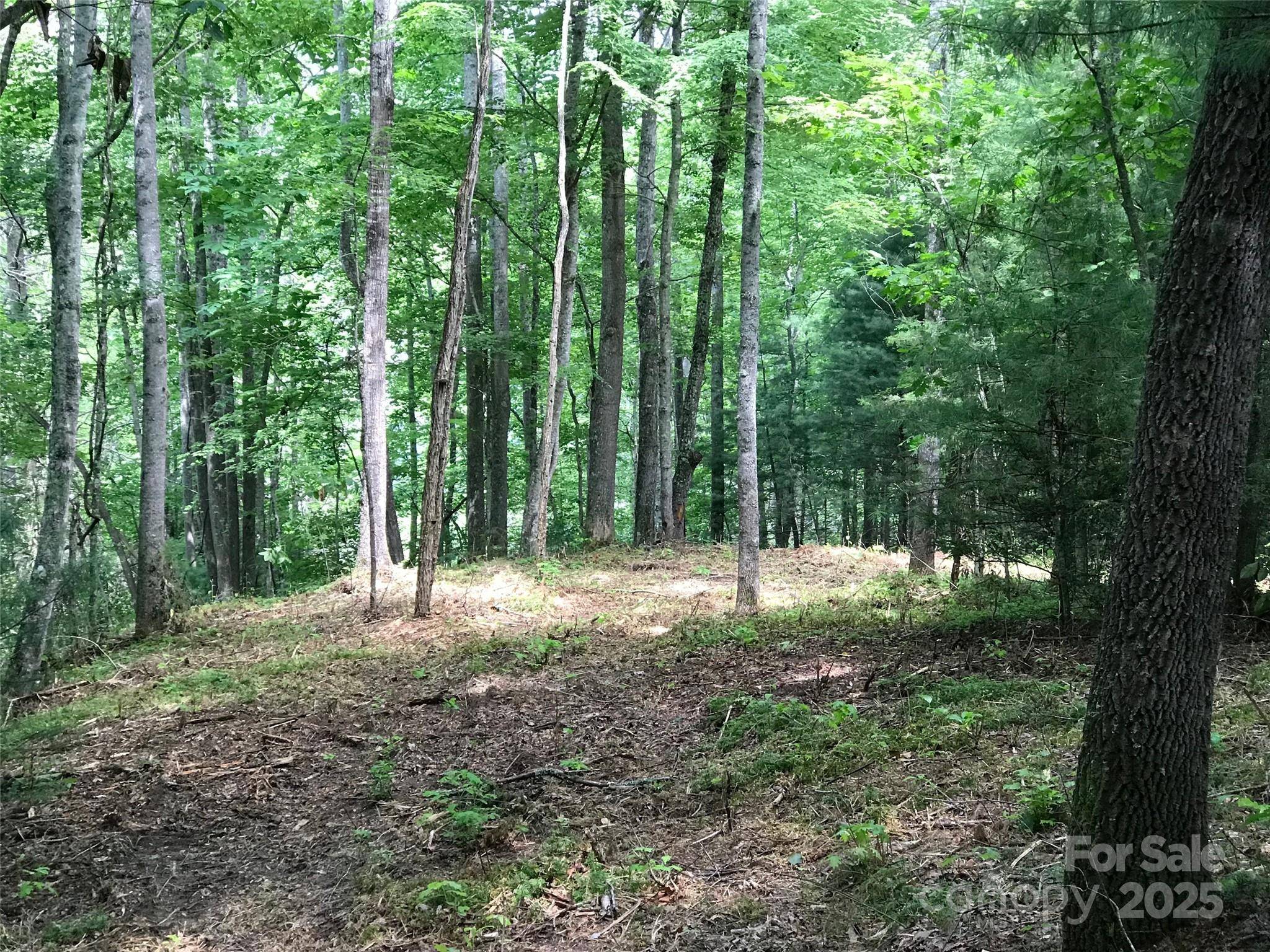 Tuckasegee, NC 28783,68 Fallsbrook DR