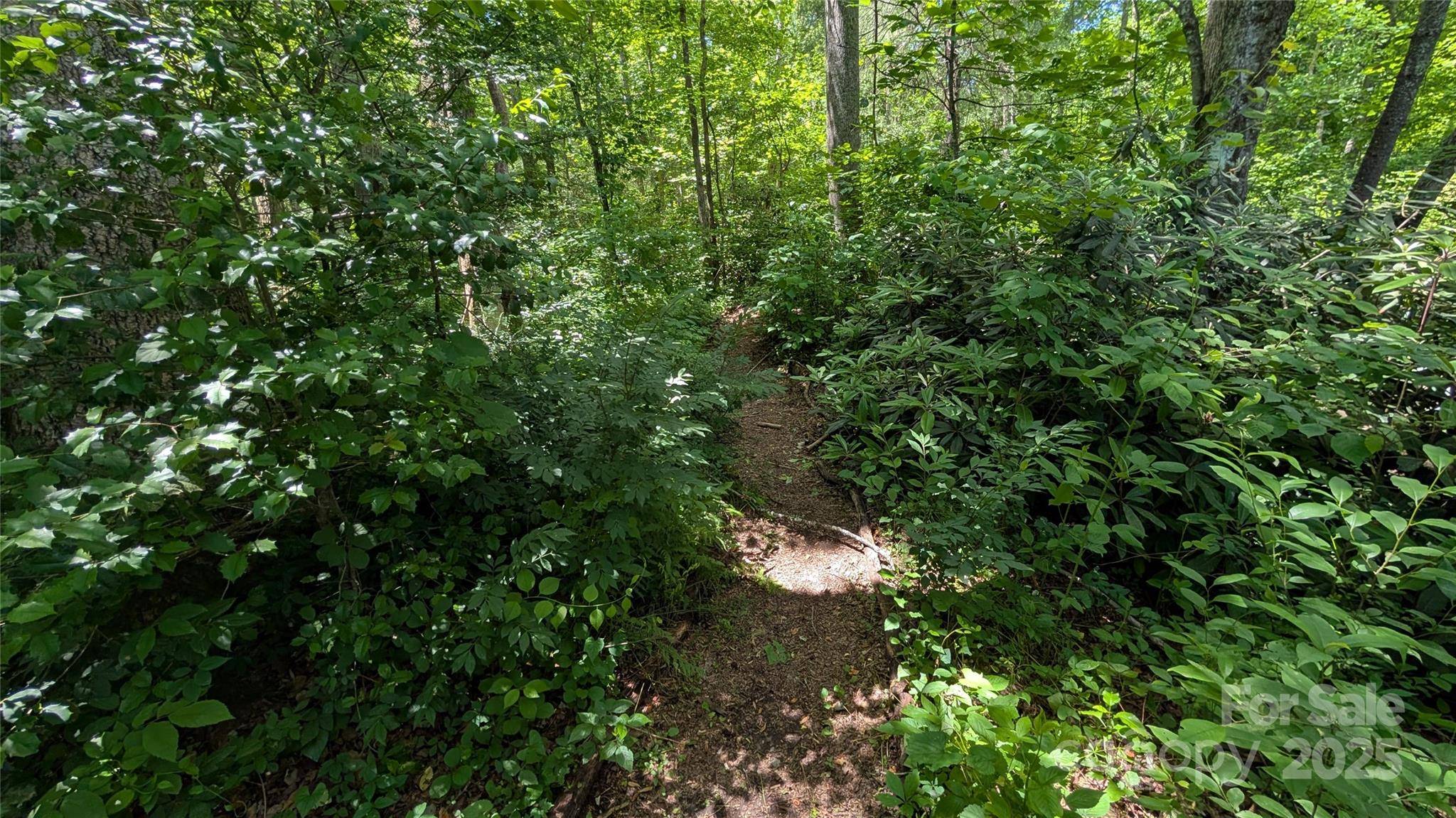 Hendersonville, NC 28791,00 Atwood DR