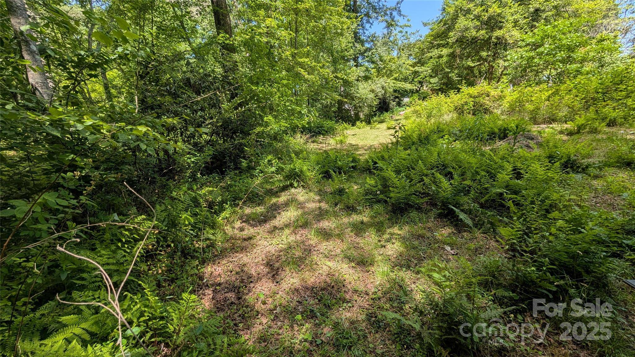 Hendersonville, NC 28791,00 Atwood DR