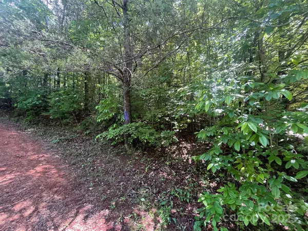 Marion, NC 28752,V/L Bambi DR #17