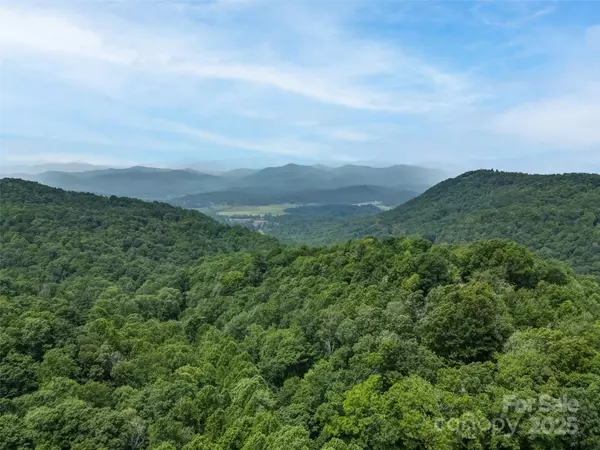 Brevard, NC 28712,0000 Dotsi DR