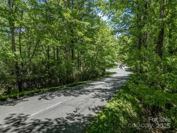 Brevard, NC 28712,0000 Dotsi DR