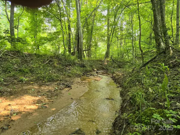 Rutherfordton, NC 28139,Lot 26 Grandview DR #26