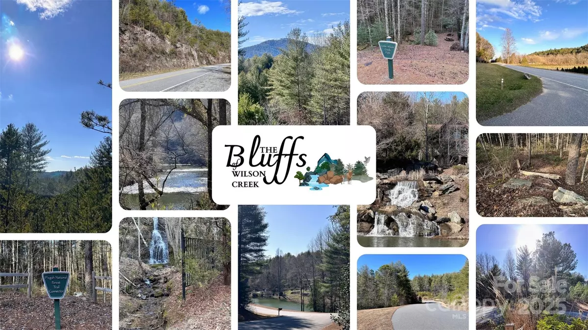 Lenoir, NC 28645,0 Carsons WAY #10