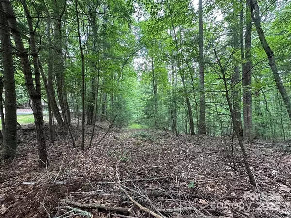 Hendersonville, NC 28739,00 Hickory Tree LN