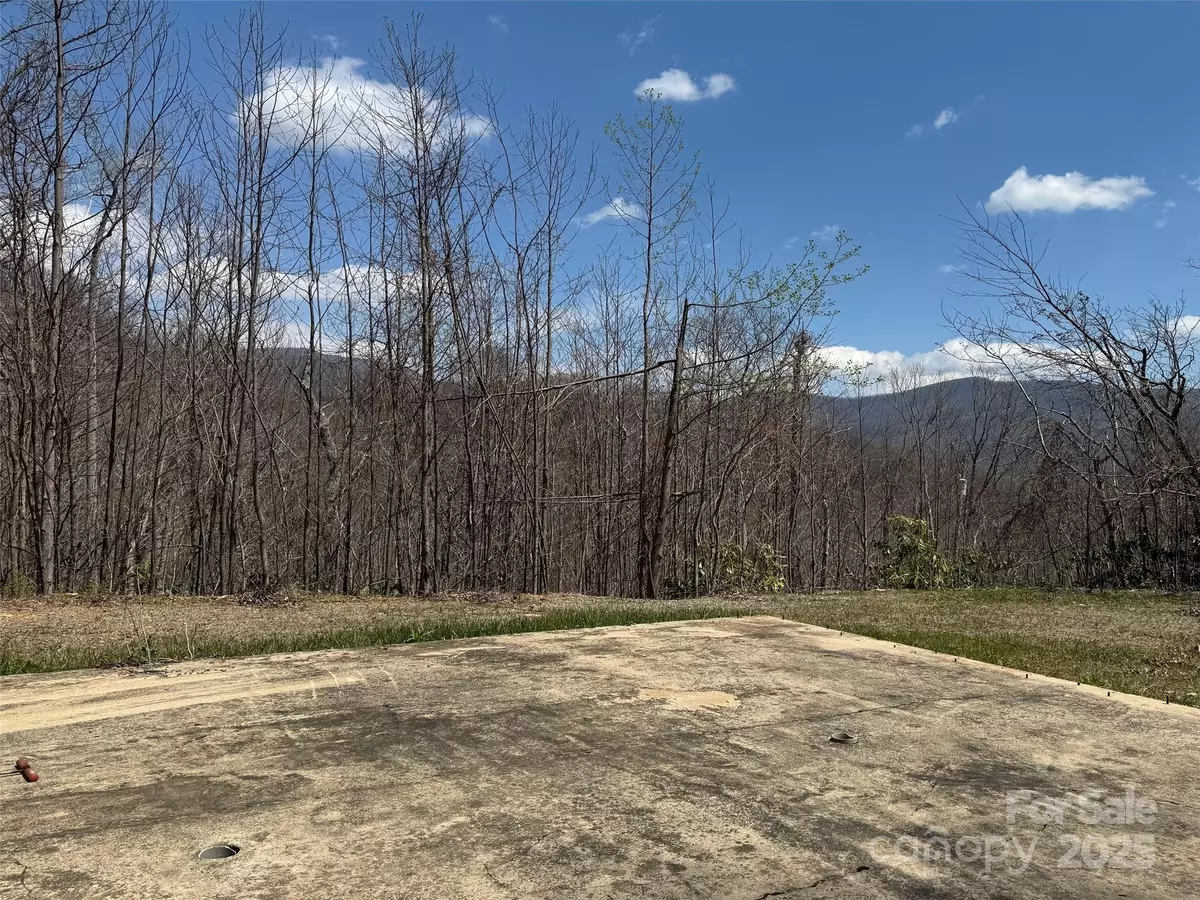 Swannanoa, NC 28778,99999 Long Branch RD #2
