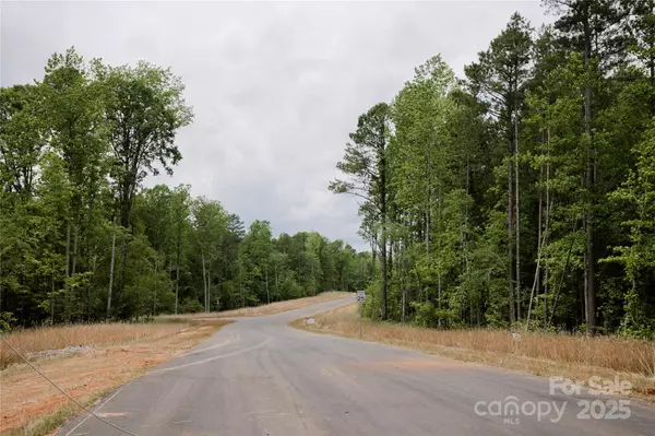 Clover, SC 29710,Lot 35 Snow Goose Walk CT
