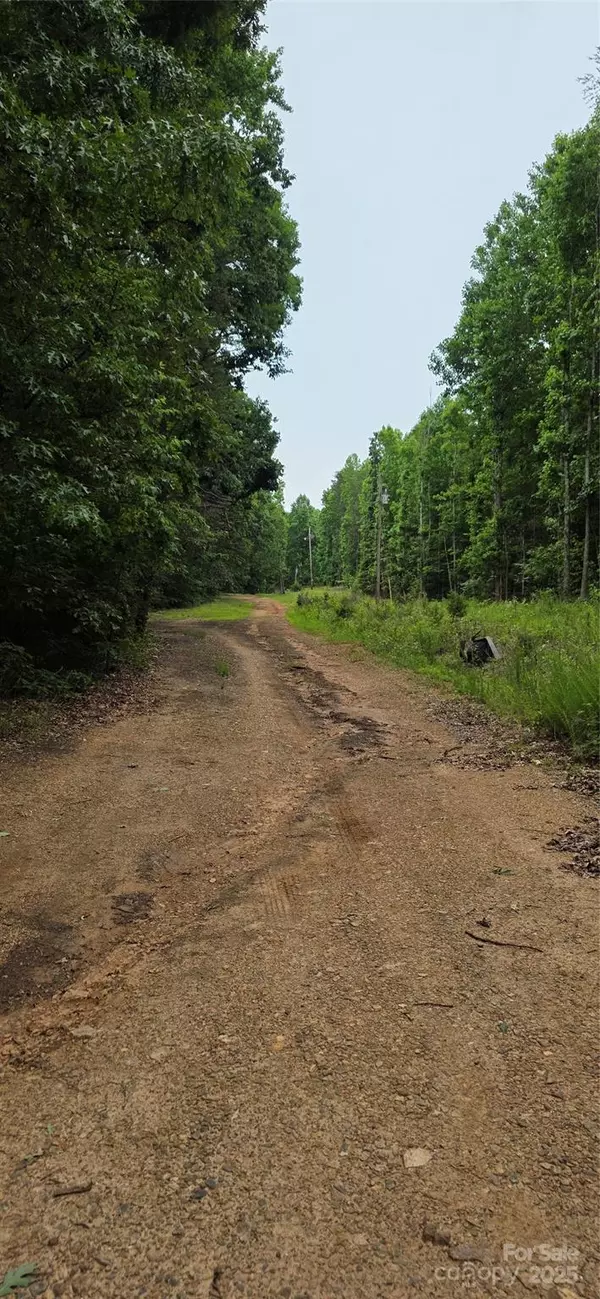 Lincolnton, NC 28092,Lot 72 & 73 Meandering LN #72 & 73