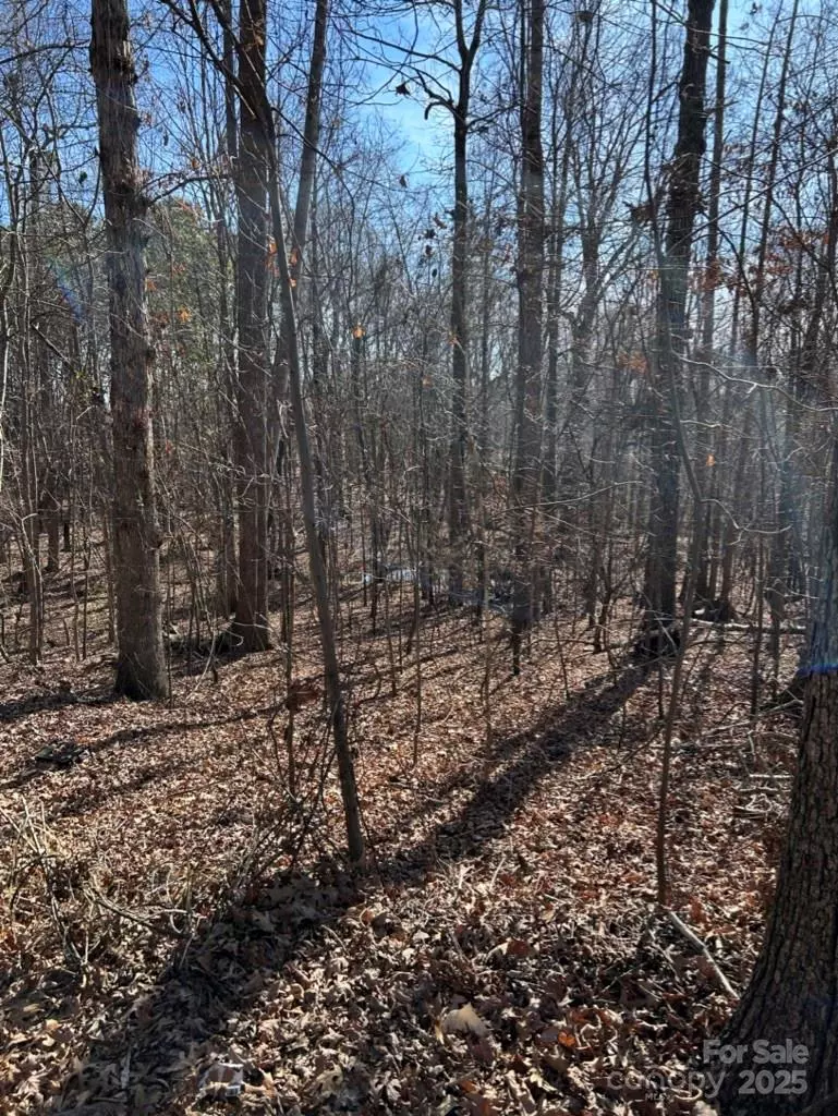 Fort Mill, SC 29708,0000 Alfred RD