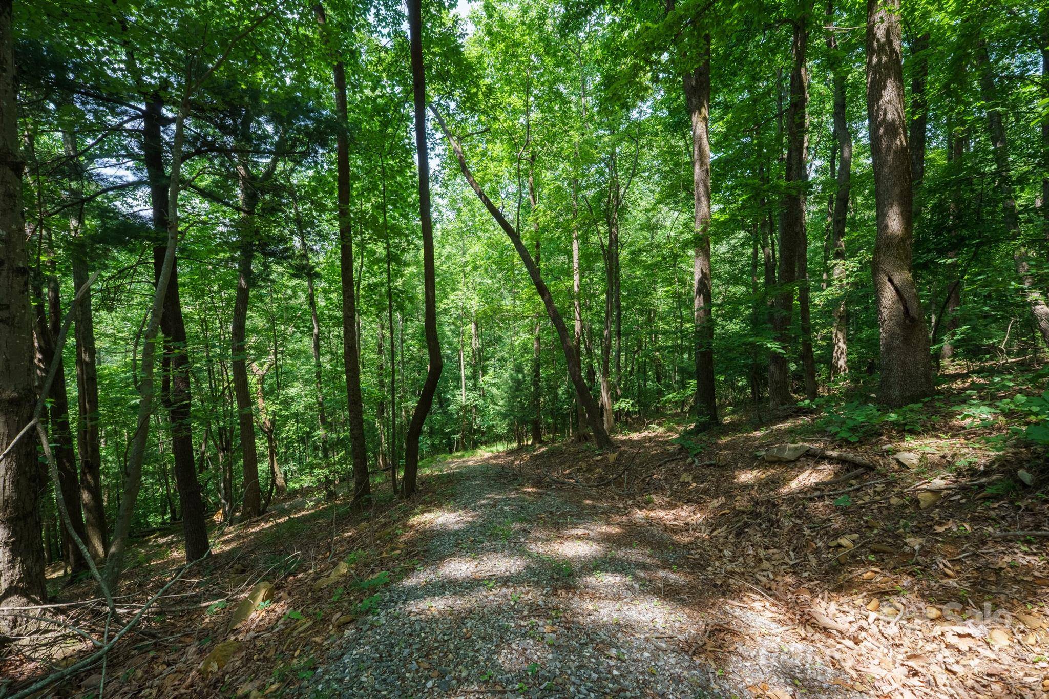 Moravian Falls, NC 28654,00 Hendren RD