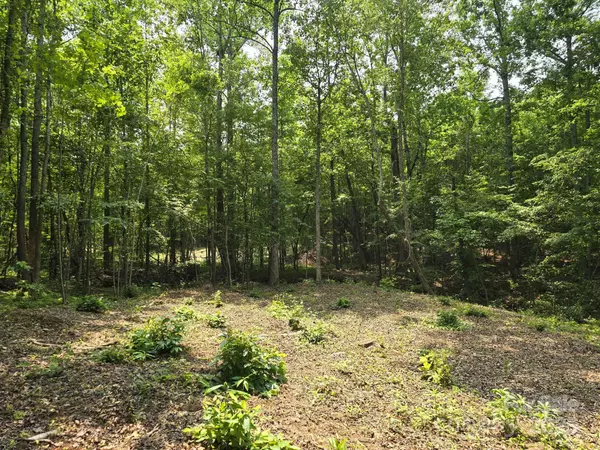 Mooresboro, NC 28114,Lot 9 State Line RD #9
