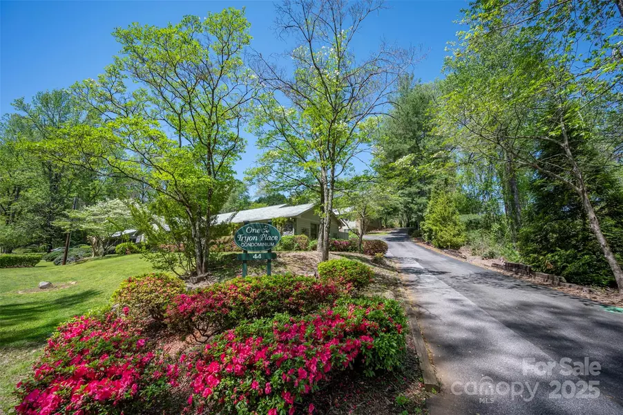 44 Jervey RD #3A, Tryon, NC 28782