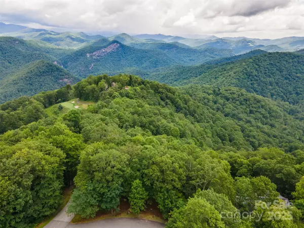 Tuckasegee, NC 28783,627 Steeplebush CT