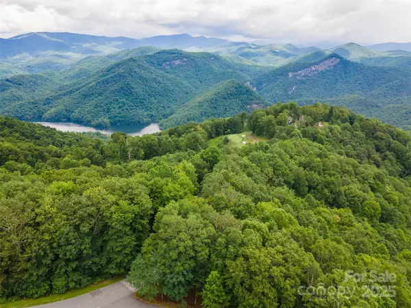 Tuckasegee, NC 28783,627 Steeplebush CT