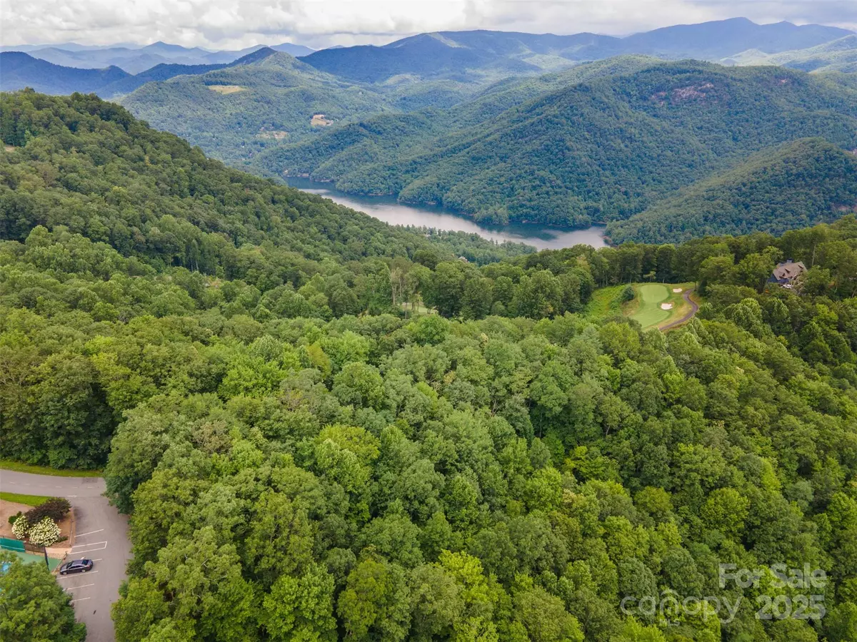 Tuckasegee, NC 28783,627 Steeplebush CT