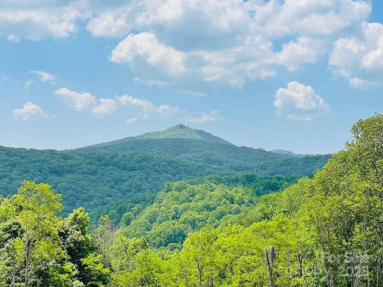 Banner Elk, NC 28604,0 Lee Gualtney RD #15