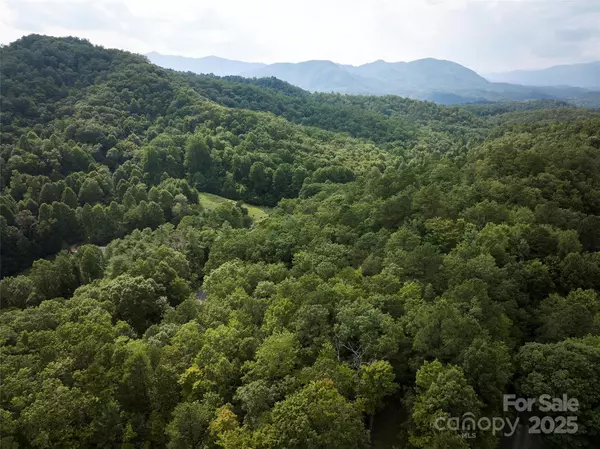 Bryson City, NC 28713,0 E H Bailey RD