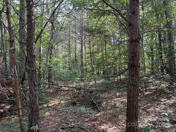 Taylorsville, NC 28681,0 Richey RD