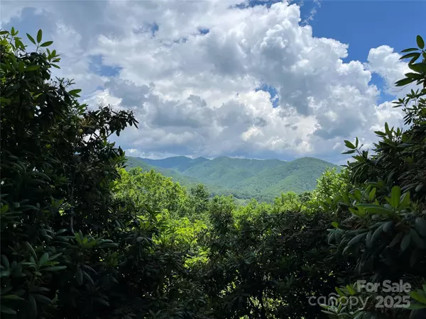 600 Fernwood DR, Bryson City, NC 28713