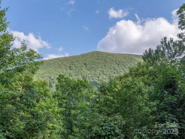 Maggie Valley, NC 28751,47 Tammy DR