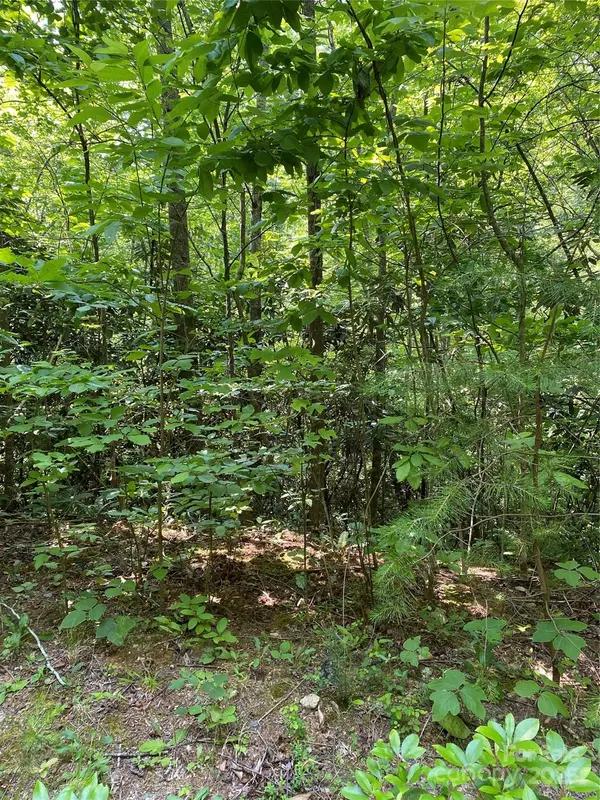 Lake Lure, NC 28746,0 Falcons AVE #12