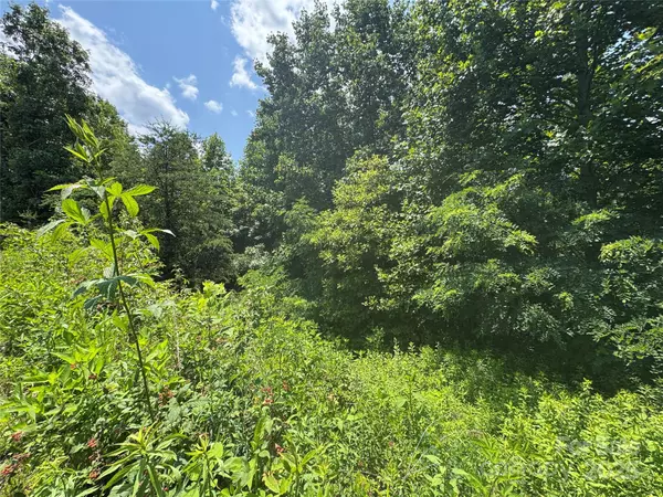 Bostic, NC 28018,0 Mountain Lookout DR #Lot 82