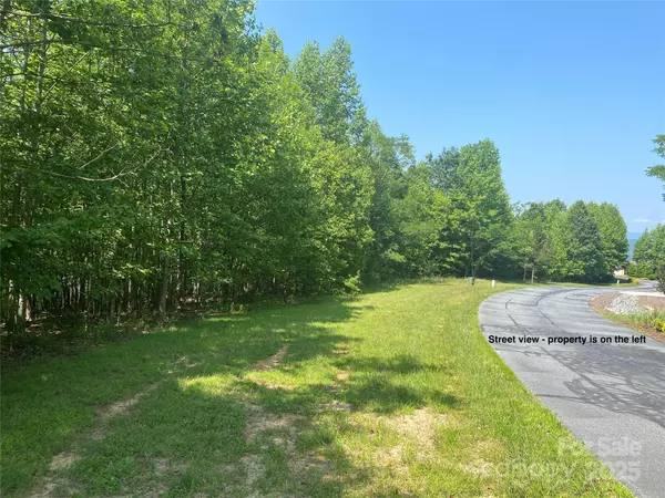 Nebo, NC 28761,Lot 244 Scenic View DR