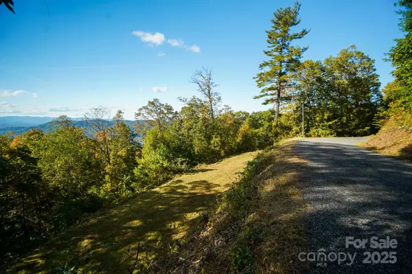Asheville, NC 28804,9999 Falconwood LN #24