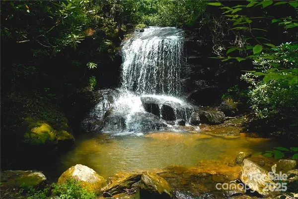 Zirconia, NC 28790,0 Pinnacle Falls LN #23