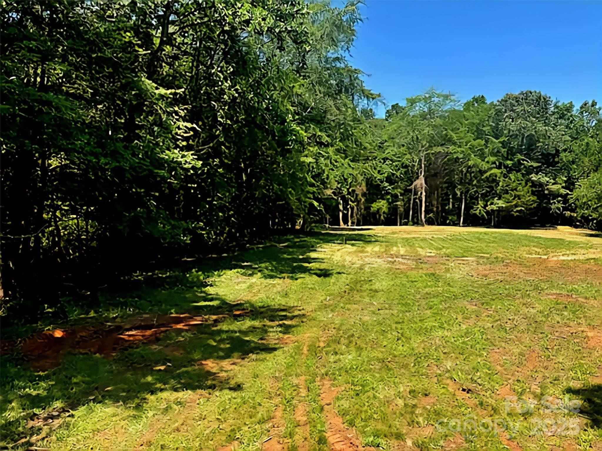 Davidson, NC 28036,1788 Shearers RD
