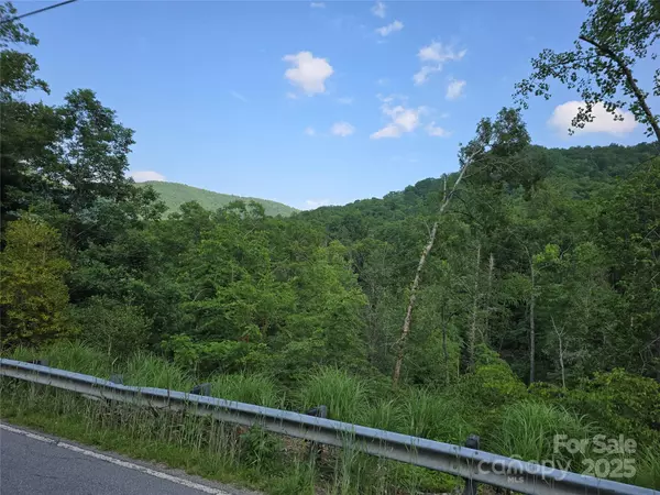 Hendersonville, NC 28792,0 Angelwood LN