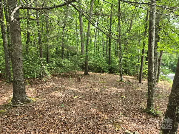 Lake Lure, NC 28746,Lot 159 Sullivan LN