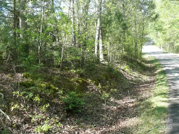Lake Lure, NC 28746,Lot 9 High Rock RDG