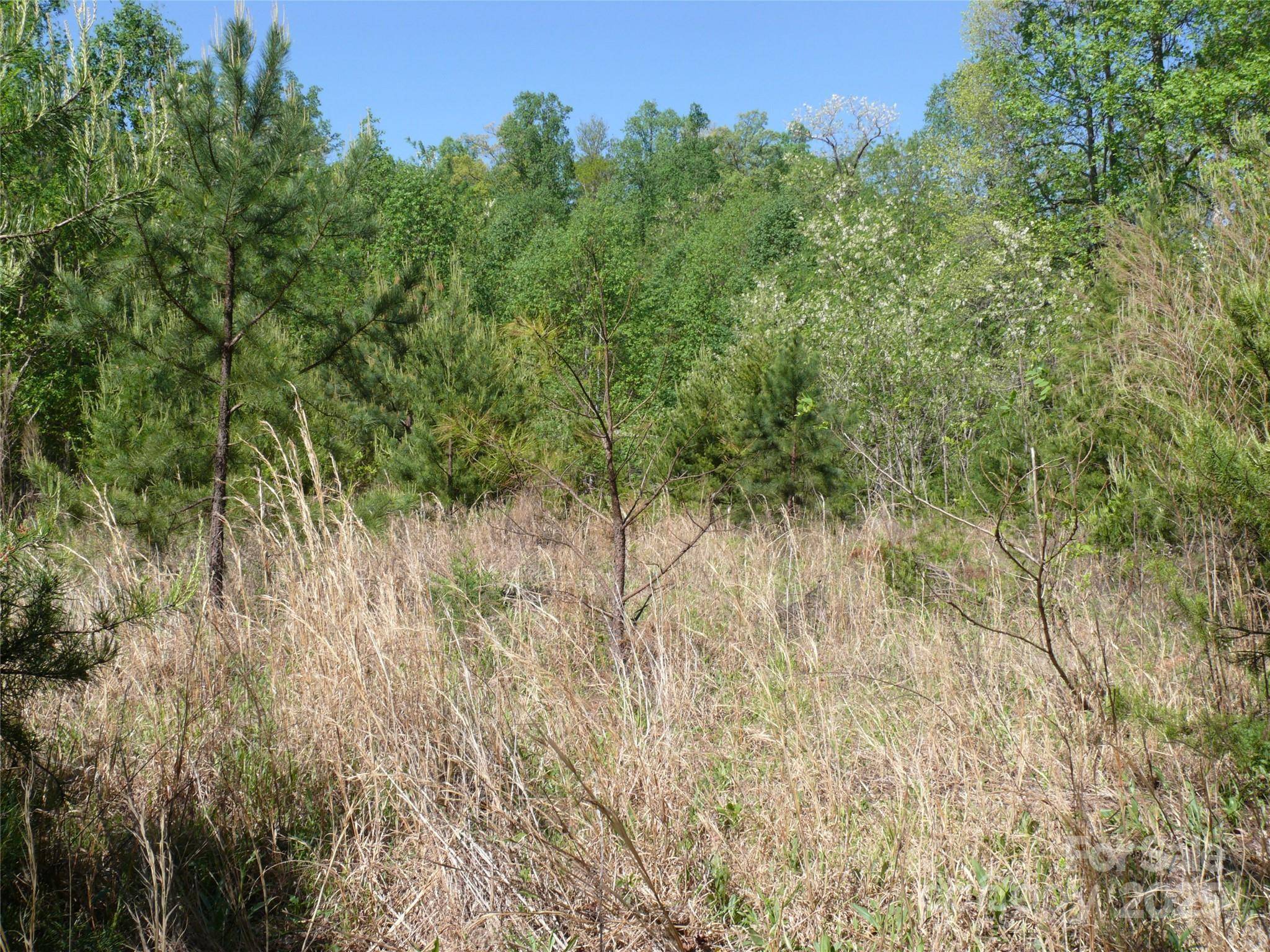 Lake Lure, NC 28746,Lot 9 High Rock RDG