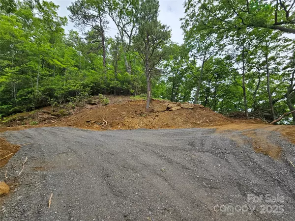 Maggie Valley, NC 28751,00 Laurel Ridge RD