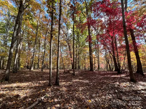 Waxhaw, NC 28173,7A Three Lakes TRL