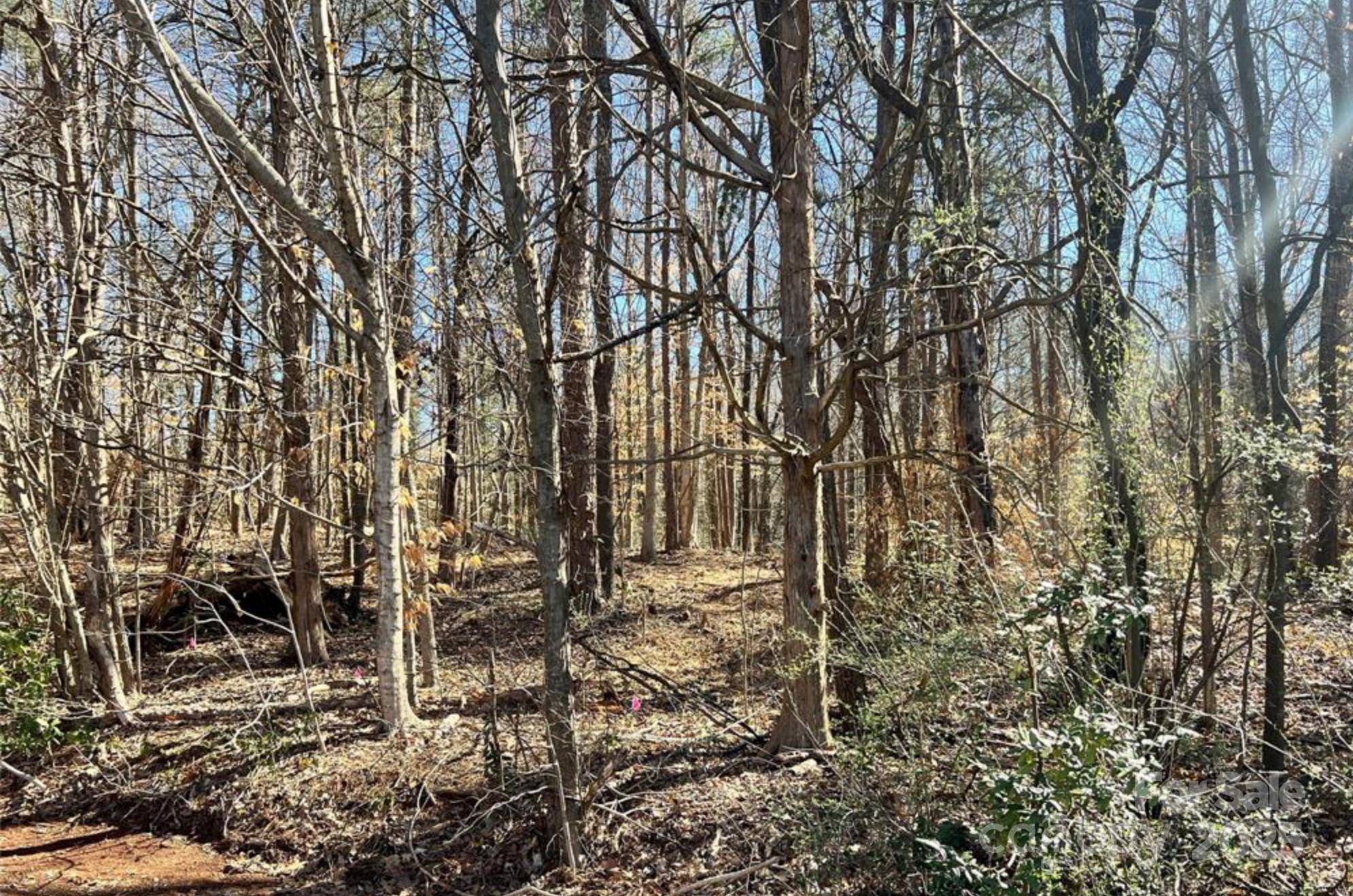 Fort Mill, SC 29708,01 Lurecliff PL