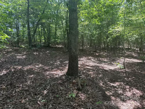 Nebo, NC 28761,0 Crescent Ridge LN #373