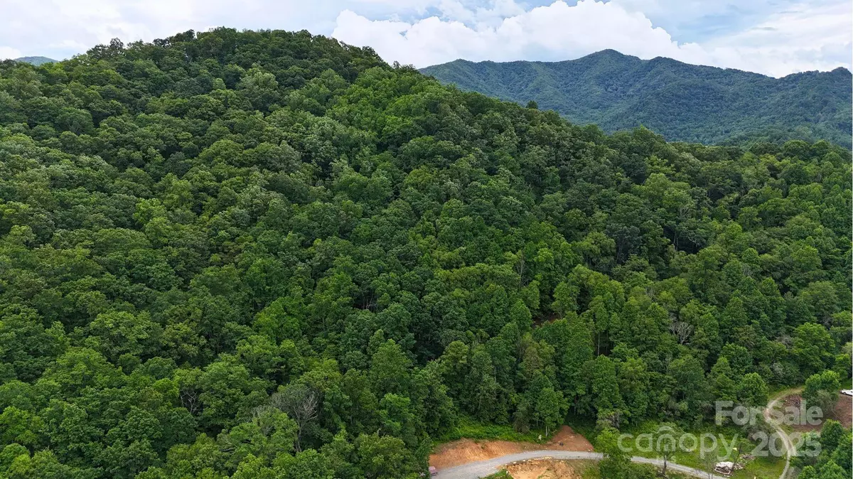 Clyde, NC 28721,0000 Wayward CV #18