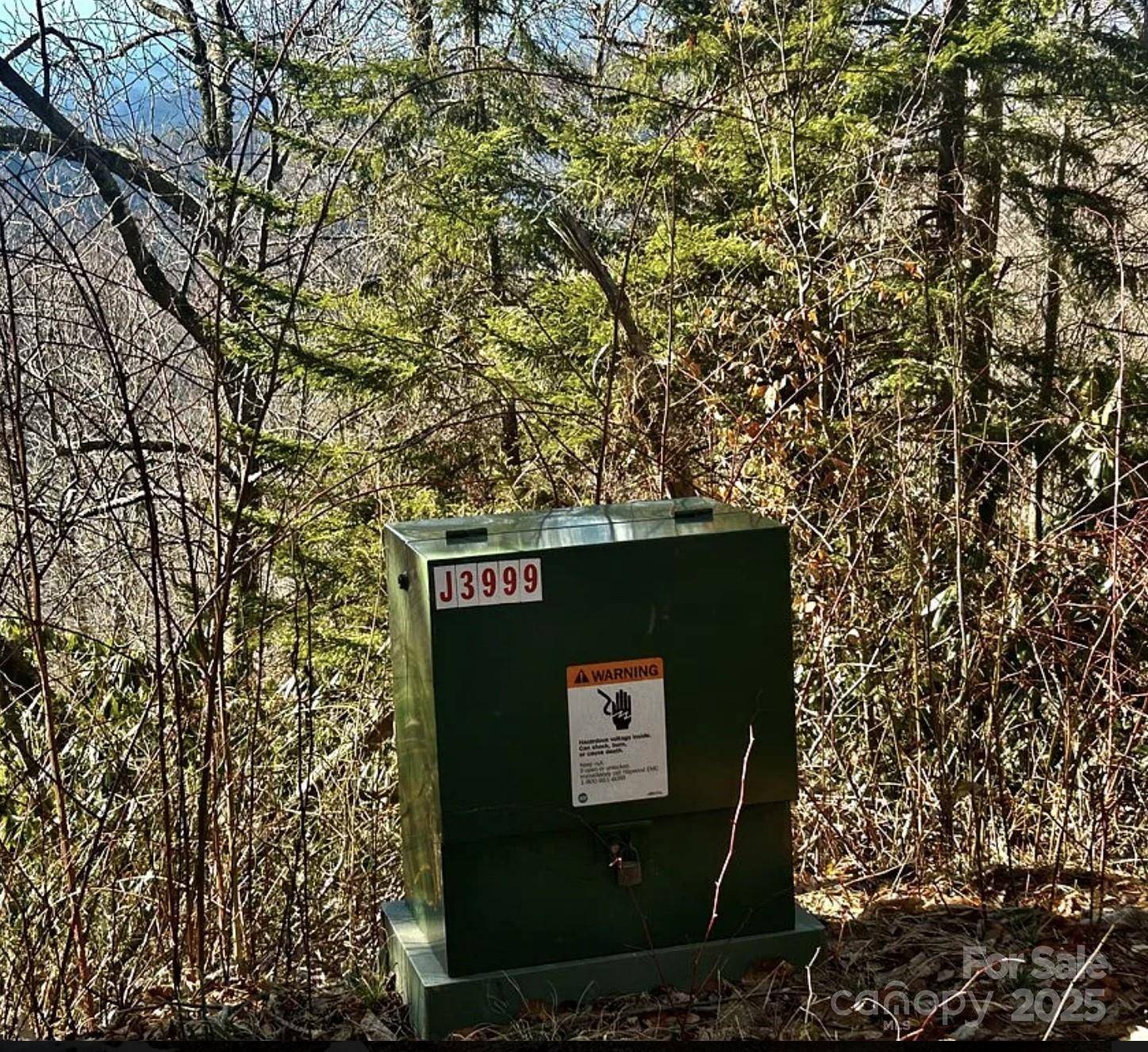 Maggie Valley, NC 28751,3837 & 3689 Plott Balsam RD