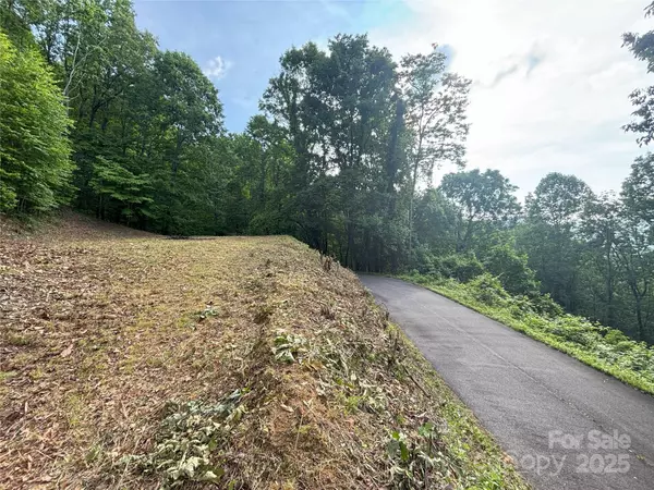 Maggie Valley, NC 28751,00 Lot # 11 Valley View DR