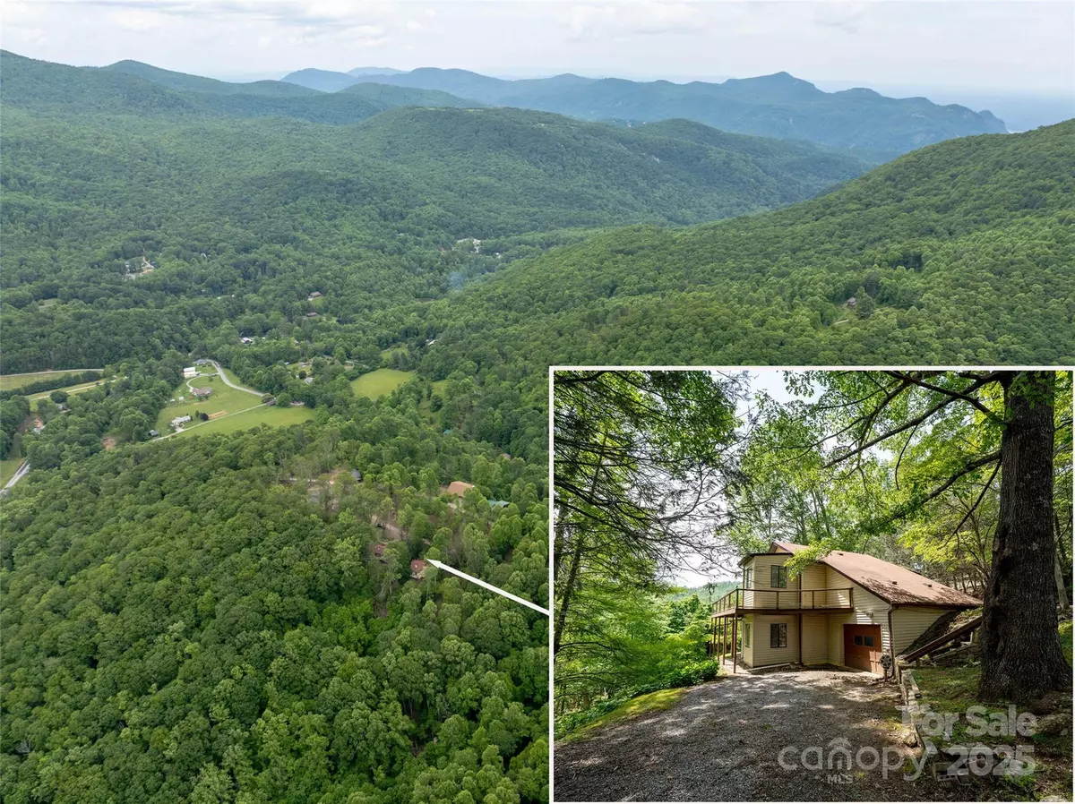 Gerton, NC 28735,218 McGuffey Ridge RDG