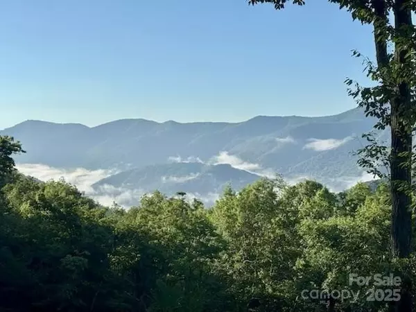 Maggie Valley, NC 28751,724 Pless Underwood RD